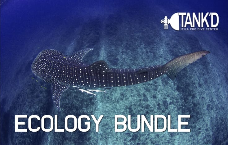 Ecology Bundle - 5 Courses