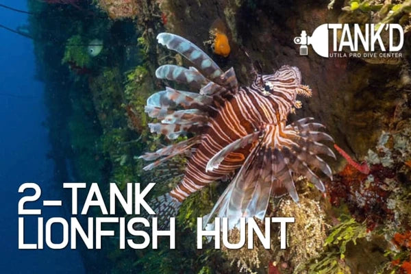 2-Tank Lionfish Hunt
