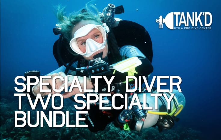 Specialty Diver - 2 Specialty Bundle